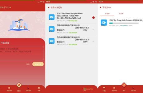 安卓APP 有种下v1.2无广告下载器