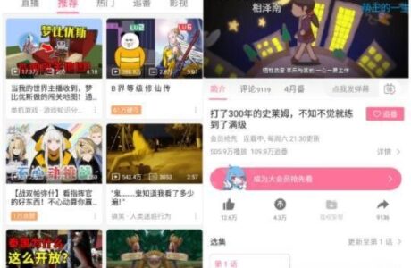 B站哔哩哔哩APP_v7.40 集成哔哩漫游 v1.6.11