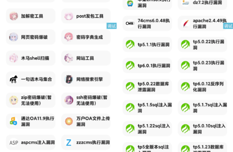 【IAPP源码】功能挺多的网站荧惑渗透源码