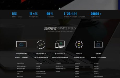 黑色大气的网络网站服务公司静态网站HTML模板