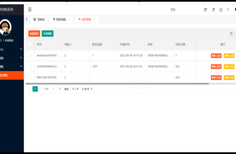 SpringBoot车险理赔管理系统源码 车险理赔管理 车险理赔与管理