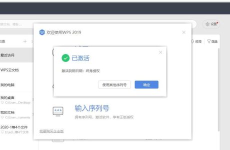 专业增强版WPS Office 2019_11.8.2.12187_免费分享