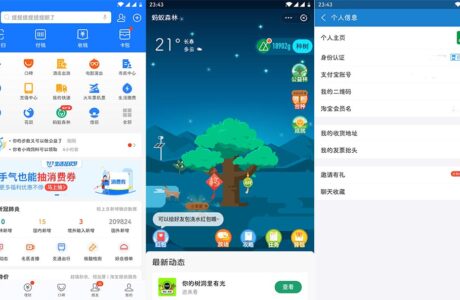 APP手机支付宝客户端 v10.5.90 for Google Play免费下载