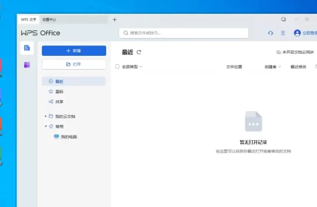 WPS Office 2023专业增强版精品软件